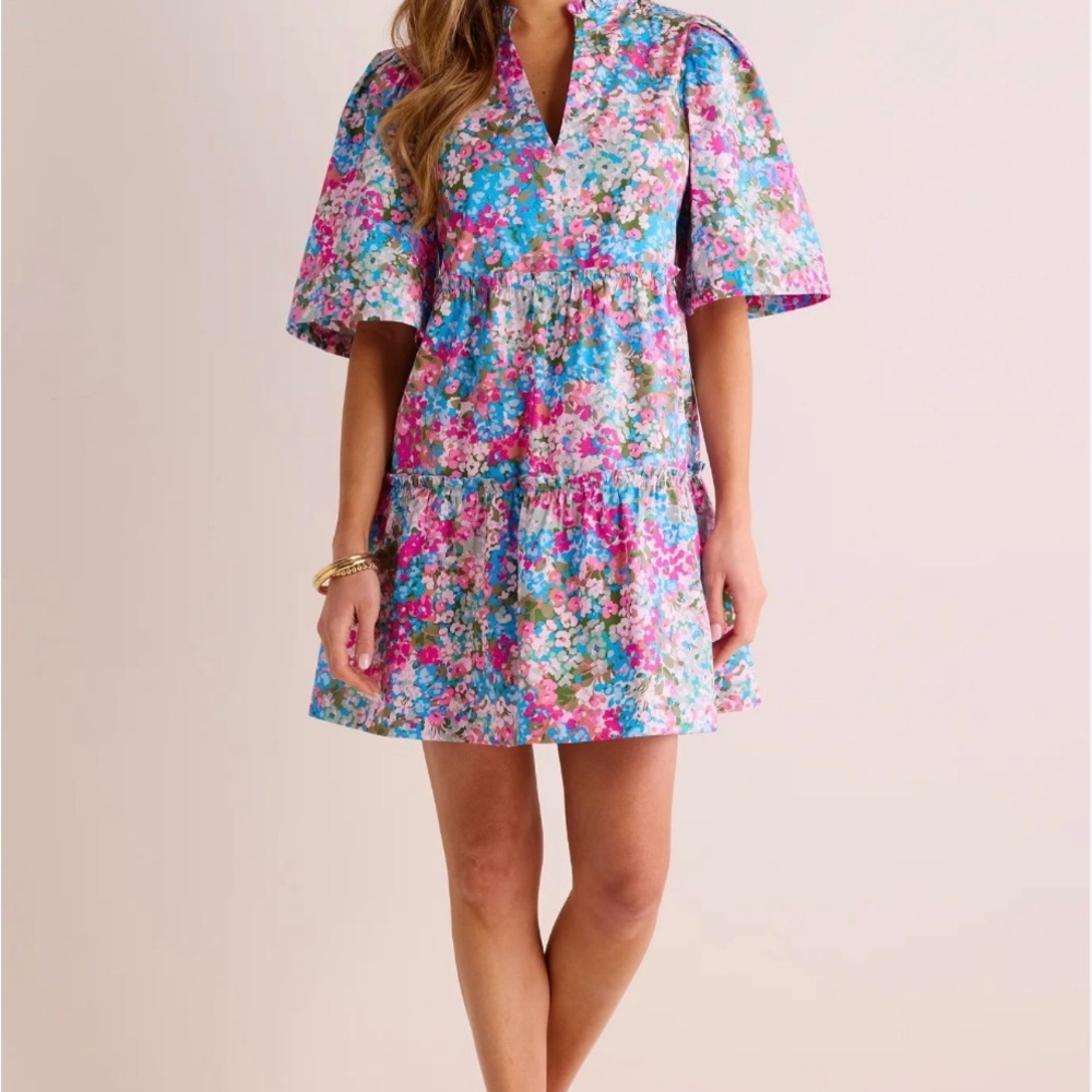 Avara Pink and Blue Floral Dress Size XL